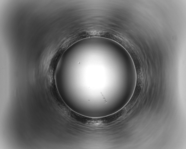 X0000096400554200801241203