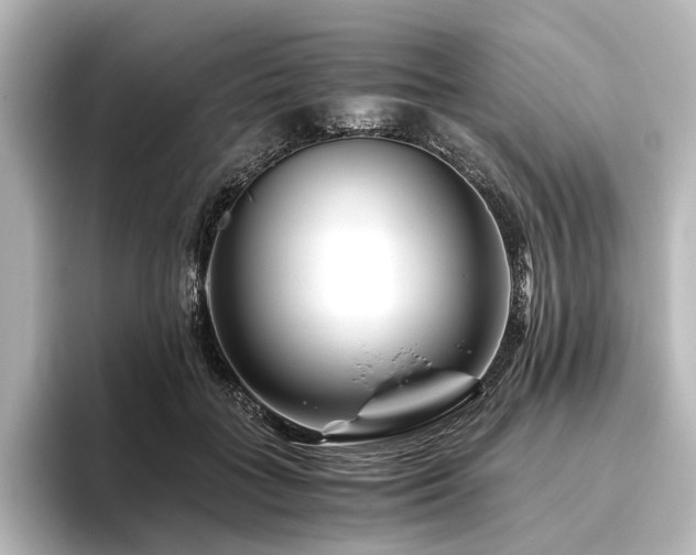 X0000096400555200801241203