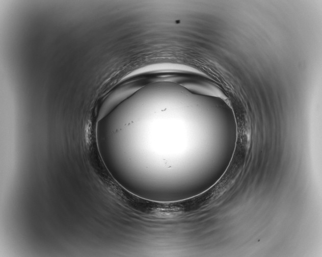 X0000096400556200801241203