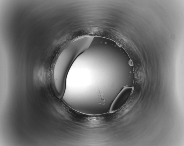 X0000096400558200801241203