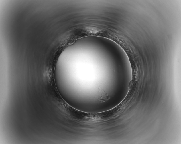 X0000096400559200801241203