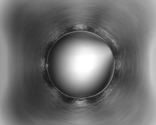 X0000096400560200801241203