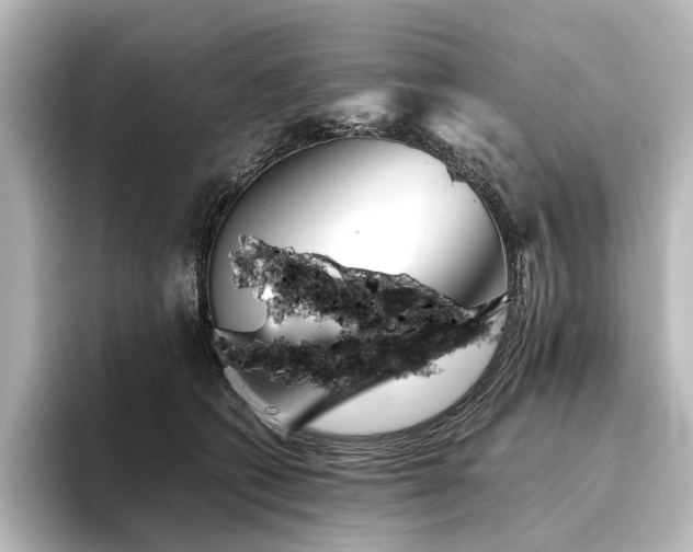 X0000096400562200801241203