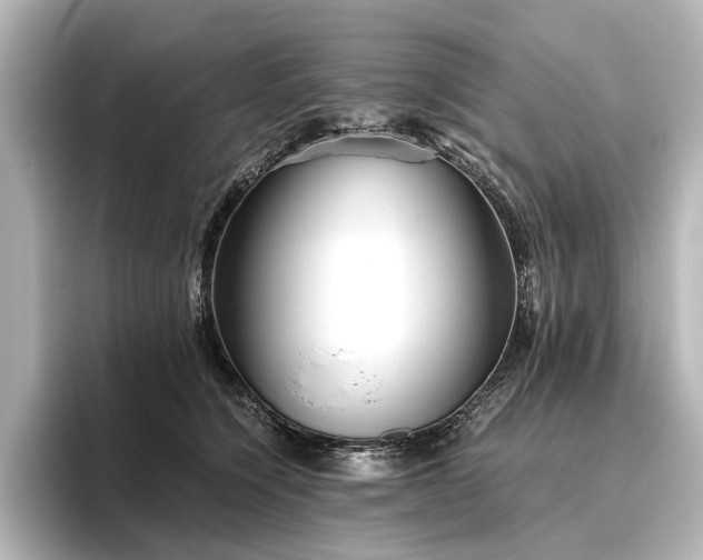 X0000096400564200801241203