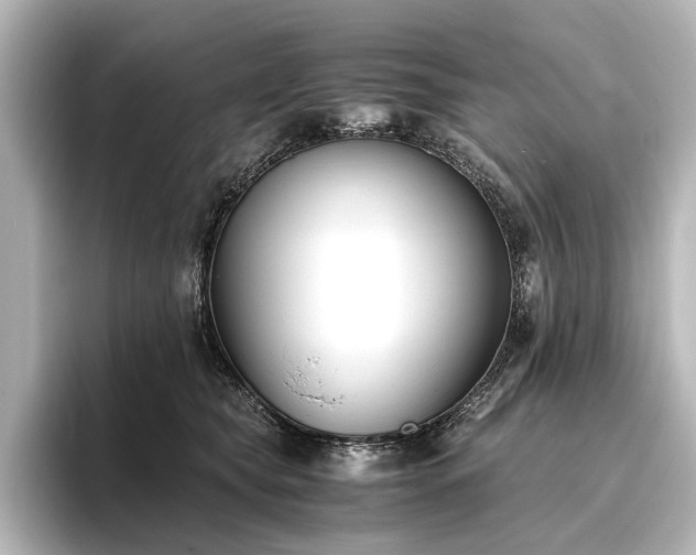 X0000096400565200801241203