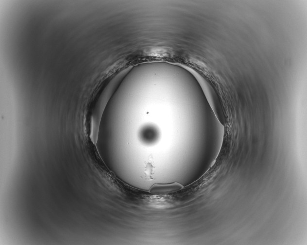 X0000096400566200801241203