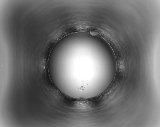 X0000096400567200801241203