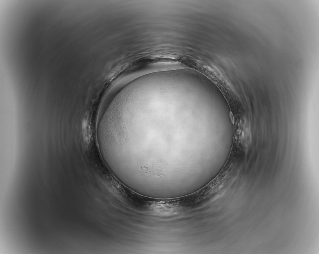 X0000096400568200801241203