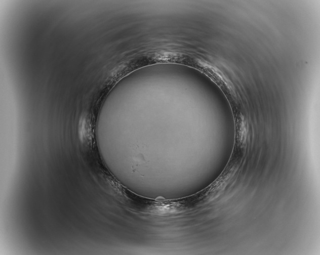 X0000096400569200801241203