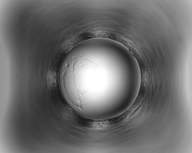 X0000096400571200801241203