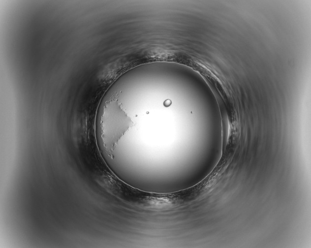 X0000096400572200801241203