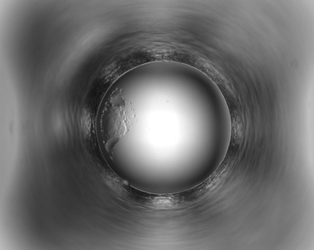 X0000096400574200801241203