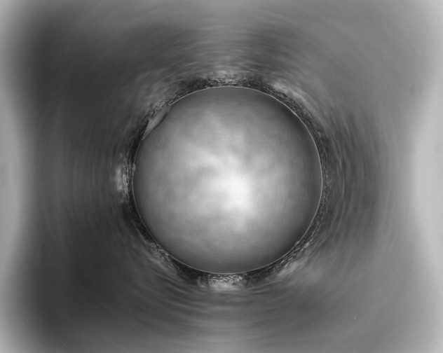 X0000096400576200801241203