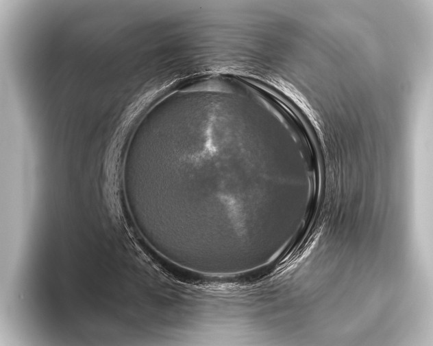 X0000096400577200801241202