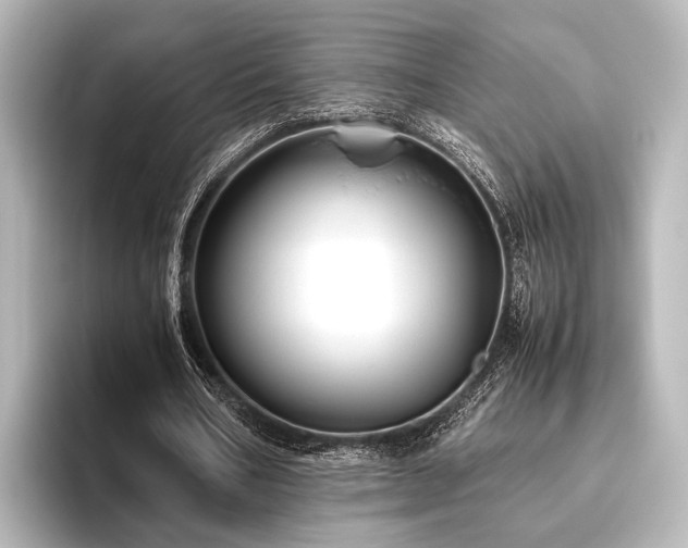 X0000096400578200801241202