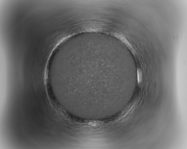 X0000096400579200801241202