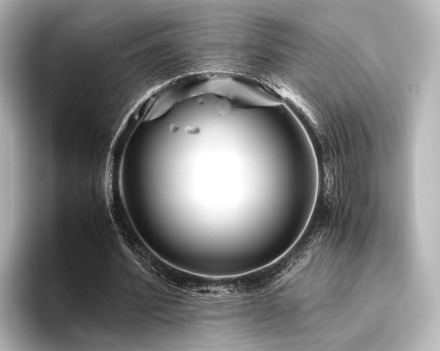 X0000096400580200801241202