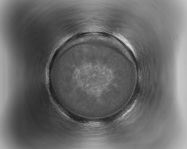 X0000096400581200801241202