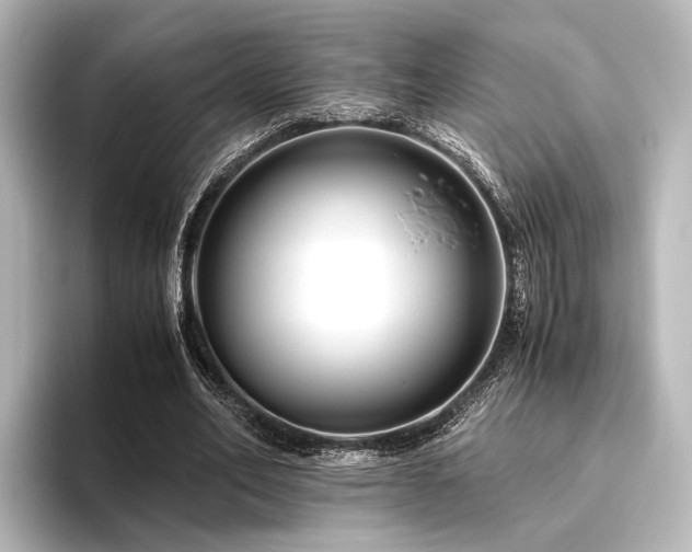 X0000096400582200801241202