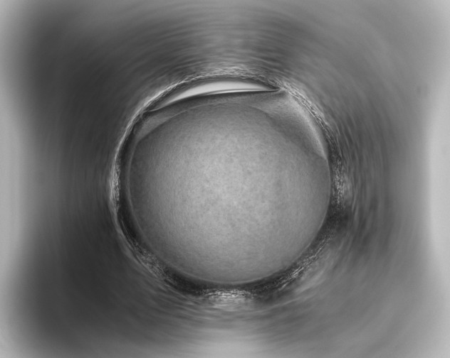 X0000096400583200801241202