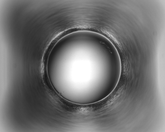 X0000096400584200801241202