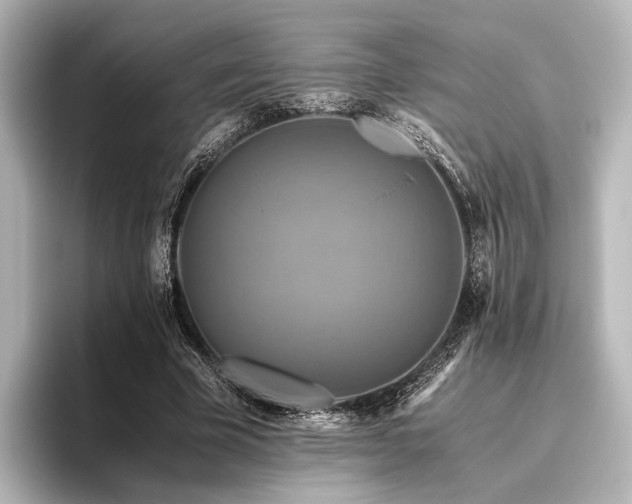 X0000096400585200801241202