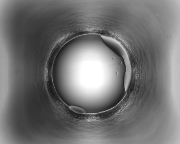 X0000096400587200801241202