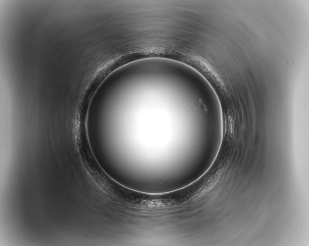 X0000096400588200801241202