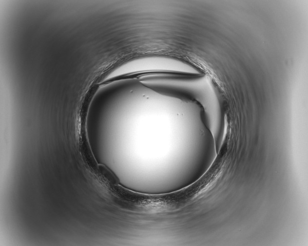 X0000096400589200801241202