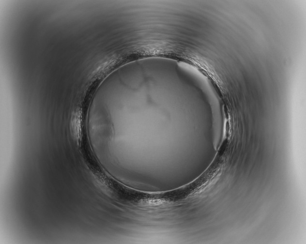 X0000096400590200801241202