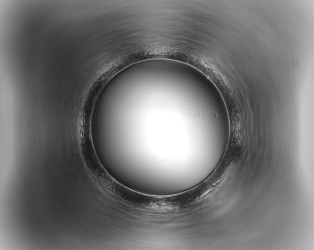 X0000096400591200801241202