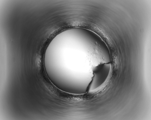 X0000096400592200801241202