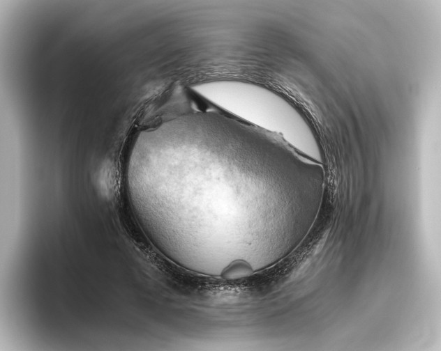 X0000096400593200801241202