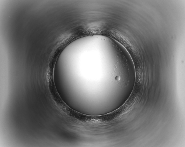 X0000096400594200801241202