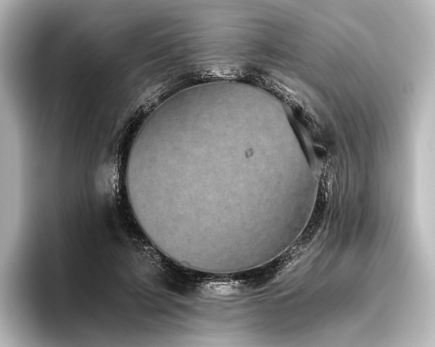 X0000096400595200801241202