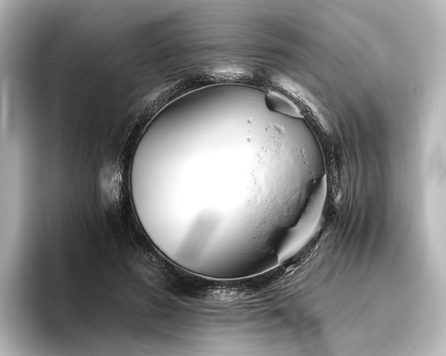 X0000096400596200801241202