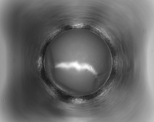 X0000096400598200801241202