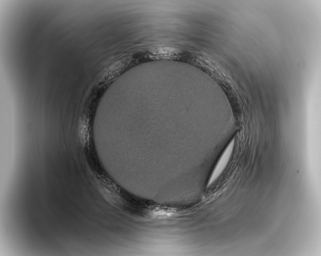 X0000096400599200801241202