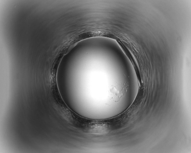 X0000096400601200801241202