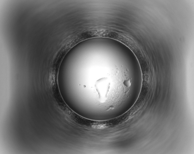 X0000096400602200801241202