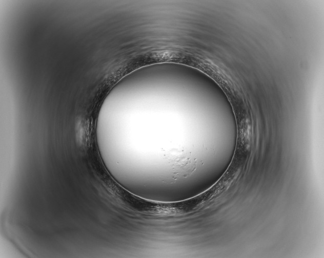 X0000096400605200801241202