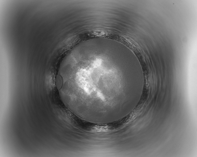 X0000096400606200801241202