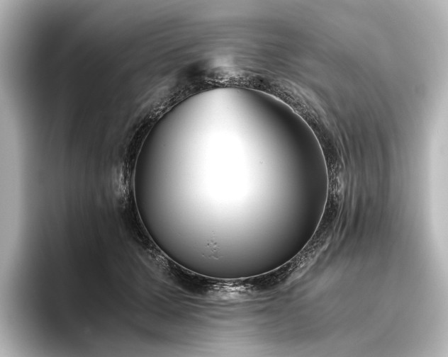 X0000096400607200801241202