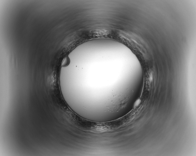 X0000096400608200801241202