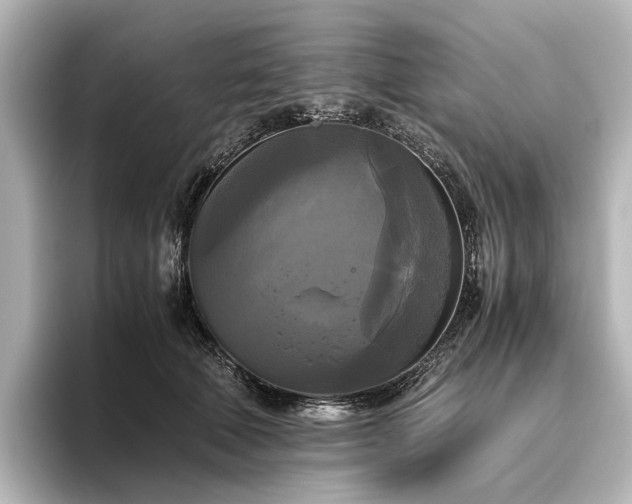 X0000096400610200801241202