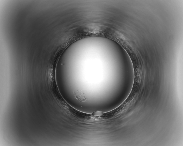 X0000096400612200801241202