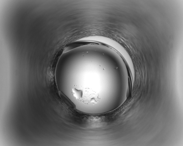 X0000096400613200801241202