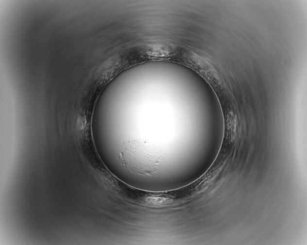 X0000096400614200801241202