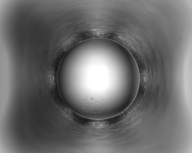 X0000096400615200801241202