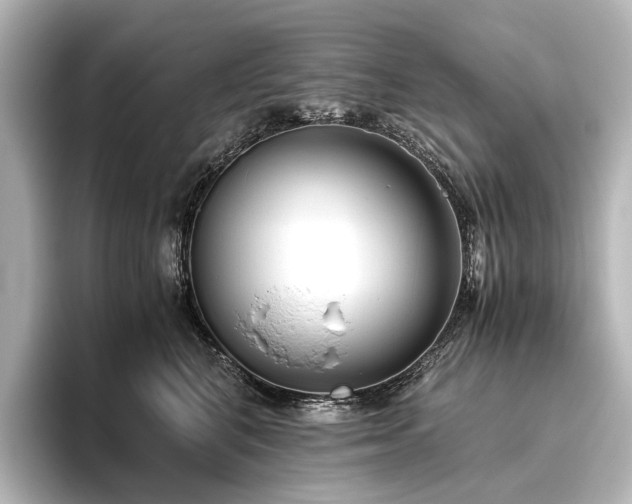 X0000096400616200801241202